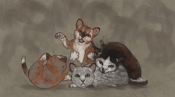 Flat colour Flat Colour